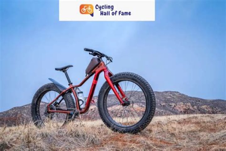 Can a fat bike be your only bike?