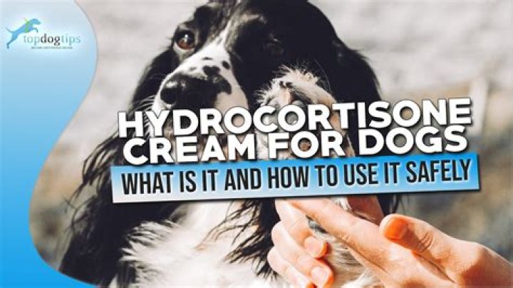 Can I use my hydrocortisone cream on my dog?