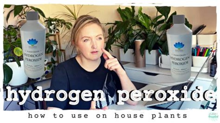 Can you use hydrogen peroxide to clean plant leaves?