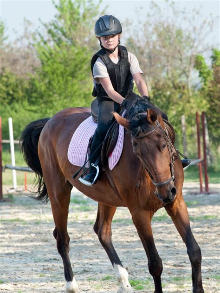 Do horses like to be ridden?