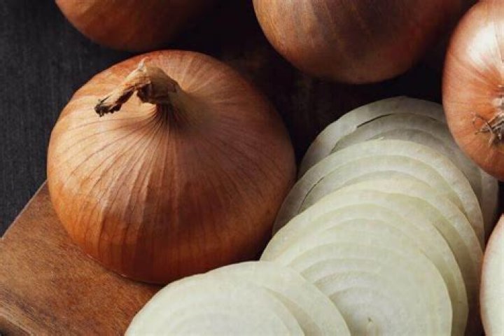 Do rats hate onion smell?