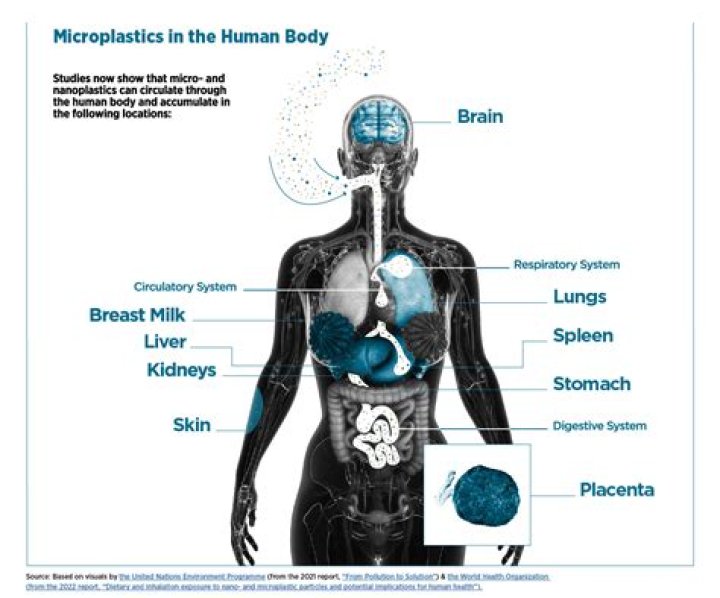Does an EMP affect humans?