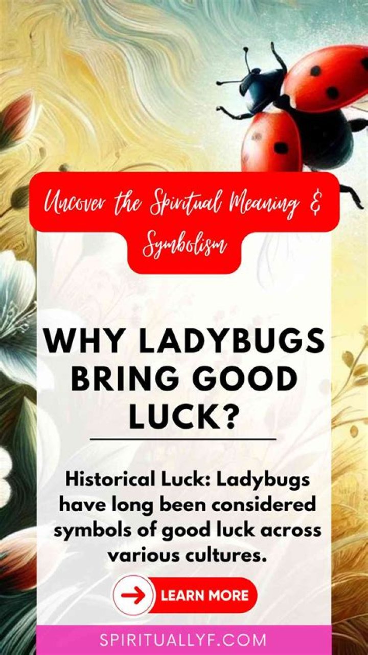 Does it mean good luck when a ladybug lands on you?