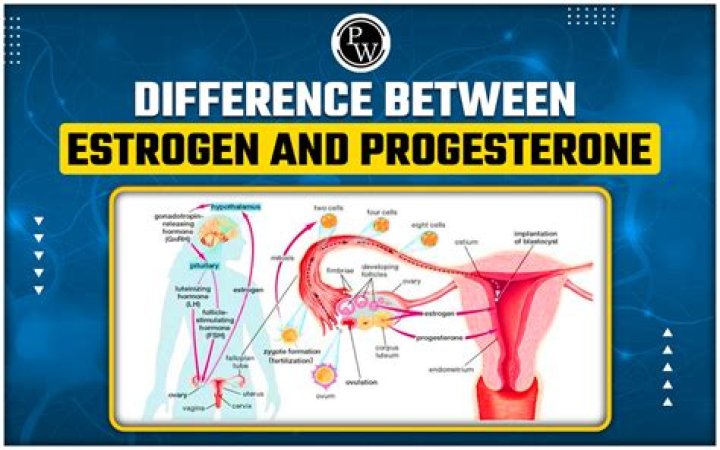 Does Progesterone cause autism?