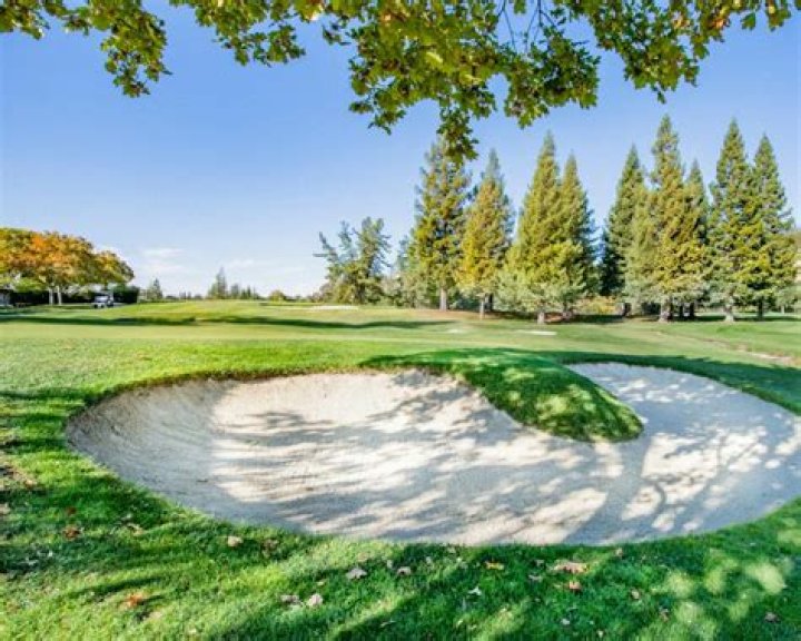 Has anyone got a hole-in-one on a par 5?