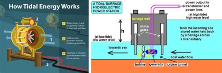 How does tidal energy get to your home?