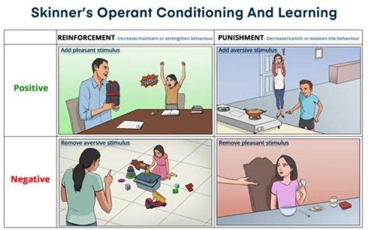 How is Skinner's theory used today in schools?