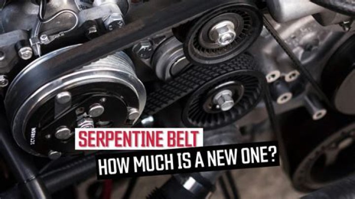 How much does the BMF belt cost?