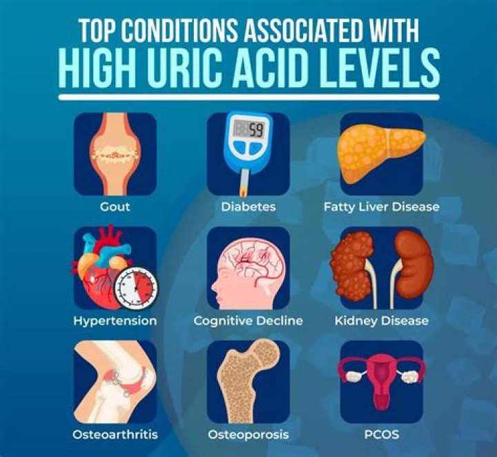 Is Biscuits good for uric acid?