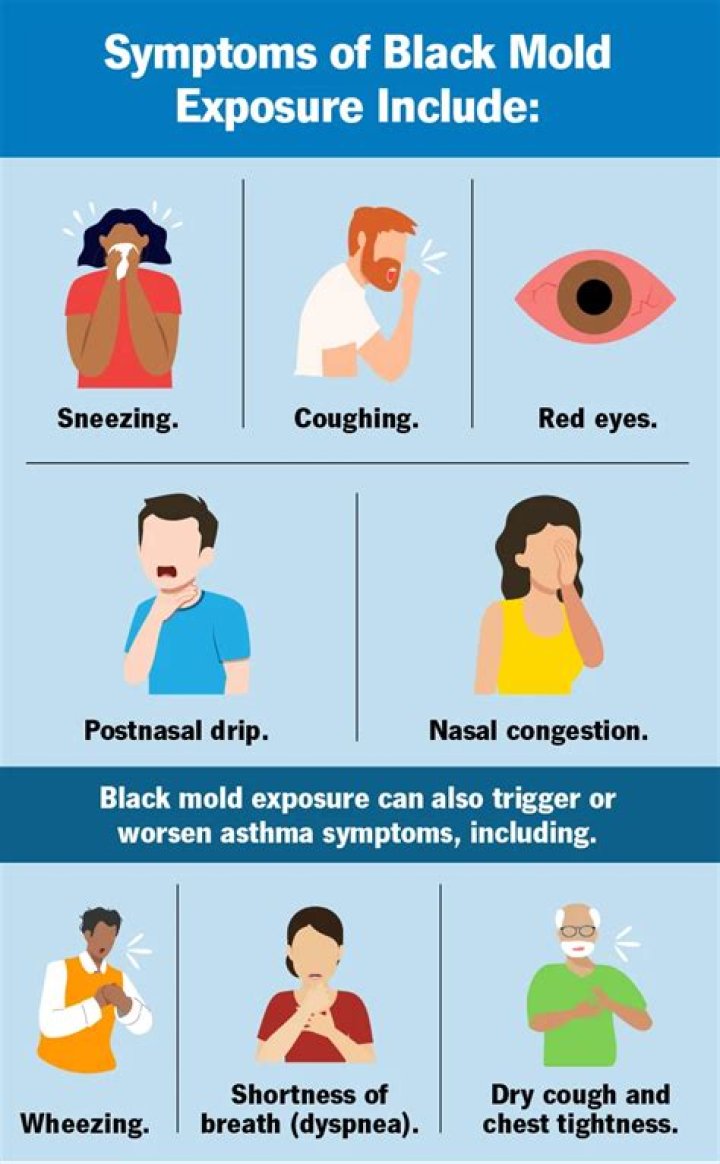Is dizziness a symptom of mold exposure?