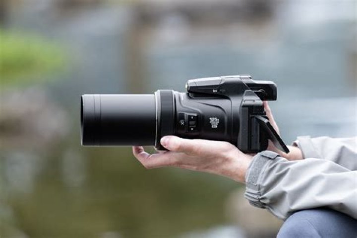 Is Nikon dead?