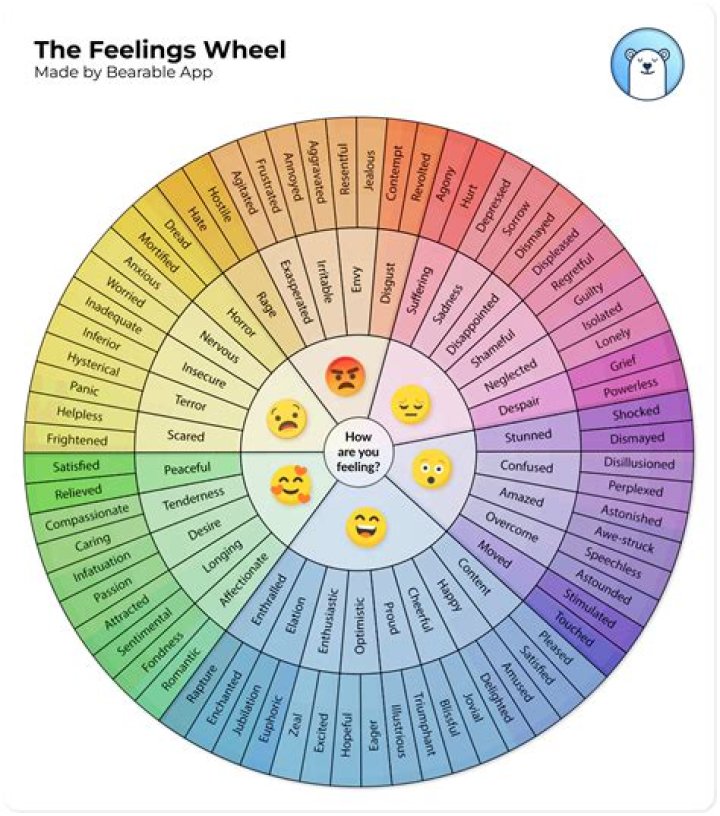 Is sad an emotion or feeling?
