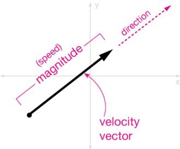 Is speed a vector?