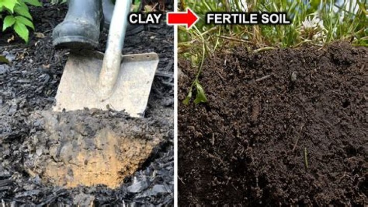 Should you aerate clay soil?