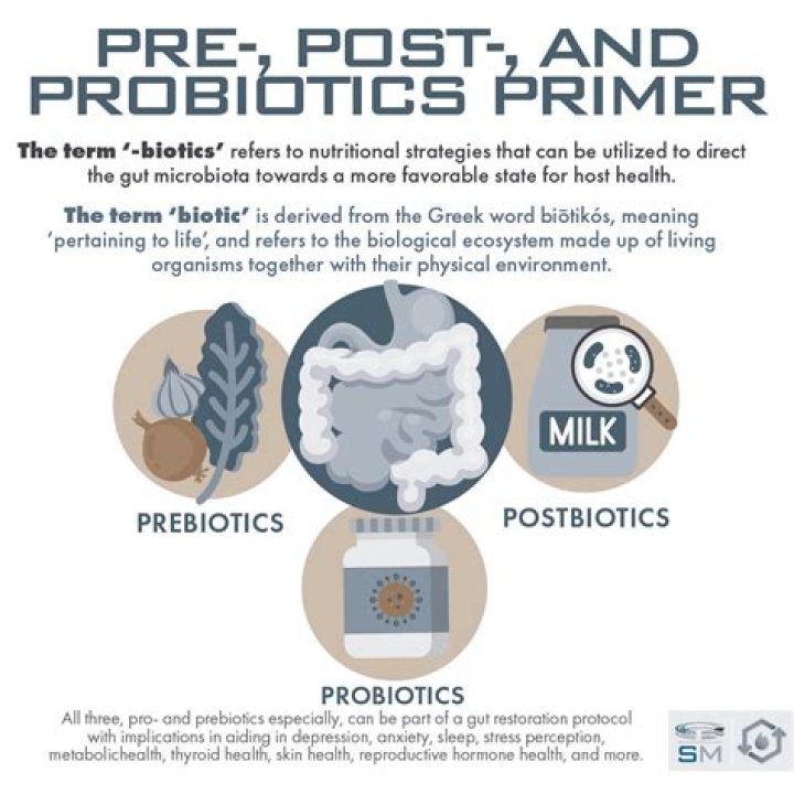 What's the difference probiotic and prebiotic?