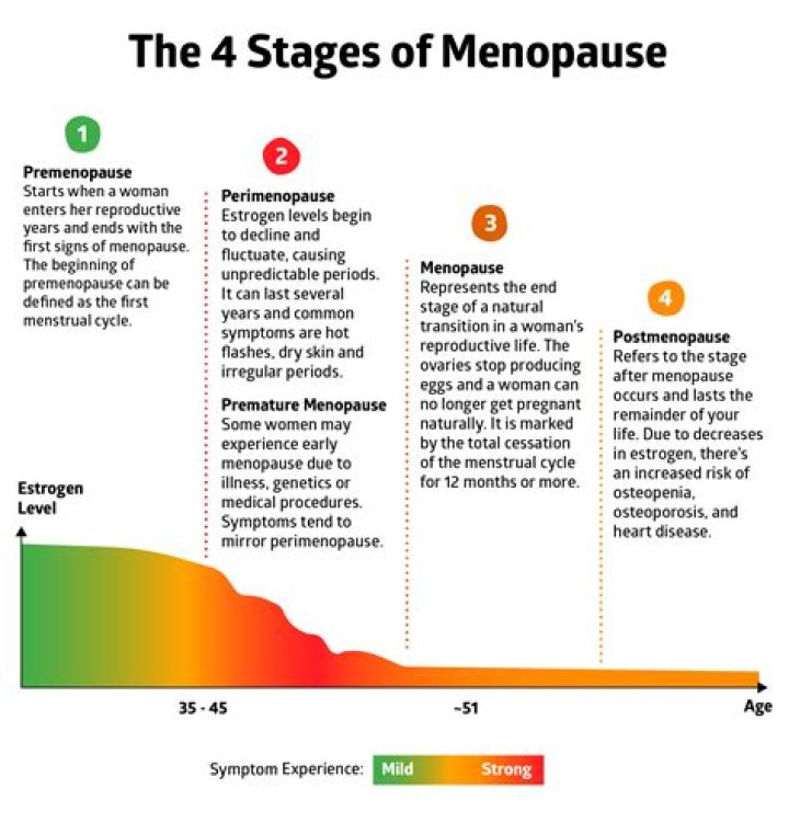 What are the four stages of menopause?