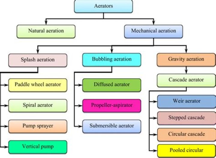 What are the two types of classification?