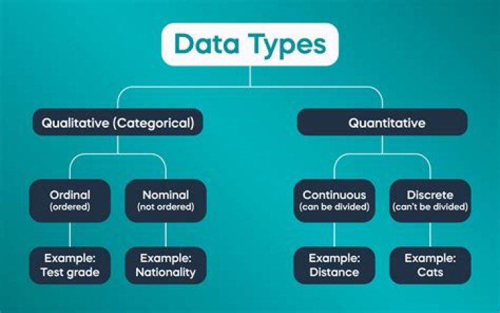 What are the types of data in statistics?