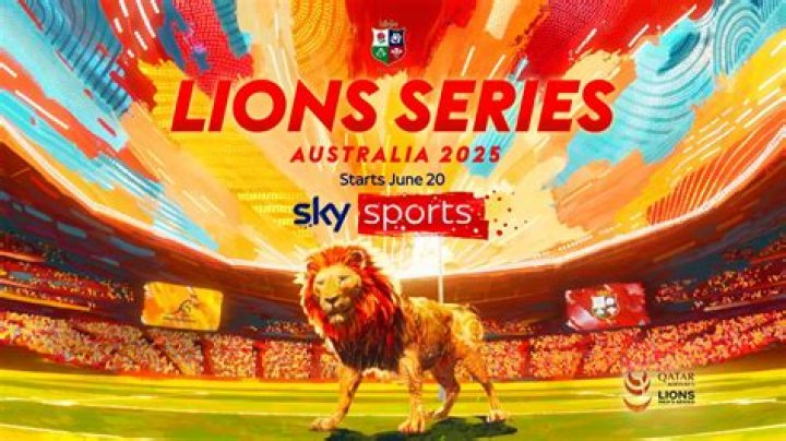 What Colour are the Lions socks?