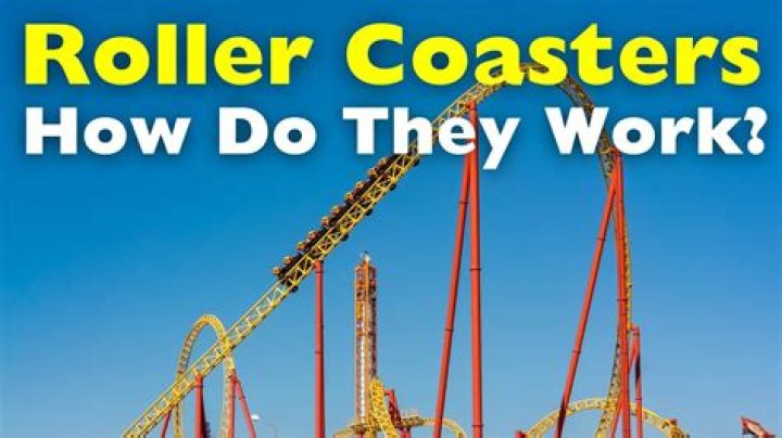 What do roller coasters do to your body?