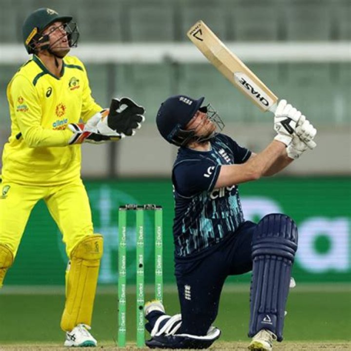 What does 4lb mean in cricket?