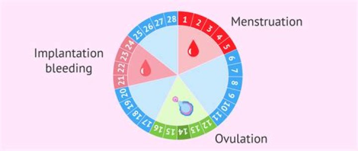 What does a period do in Matlab?