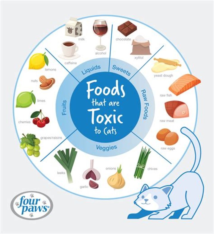 What food is harmful to pigs?