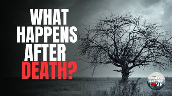What happens if a race is abandoned?