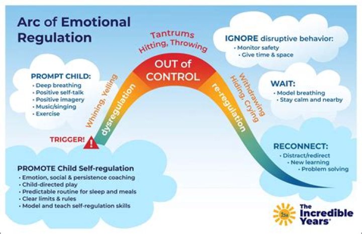 What is cognitive regulation?