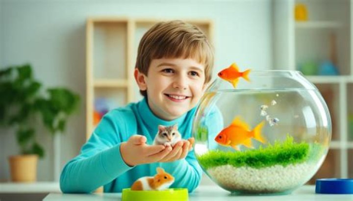 What is the easiest pet?