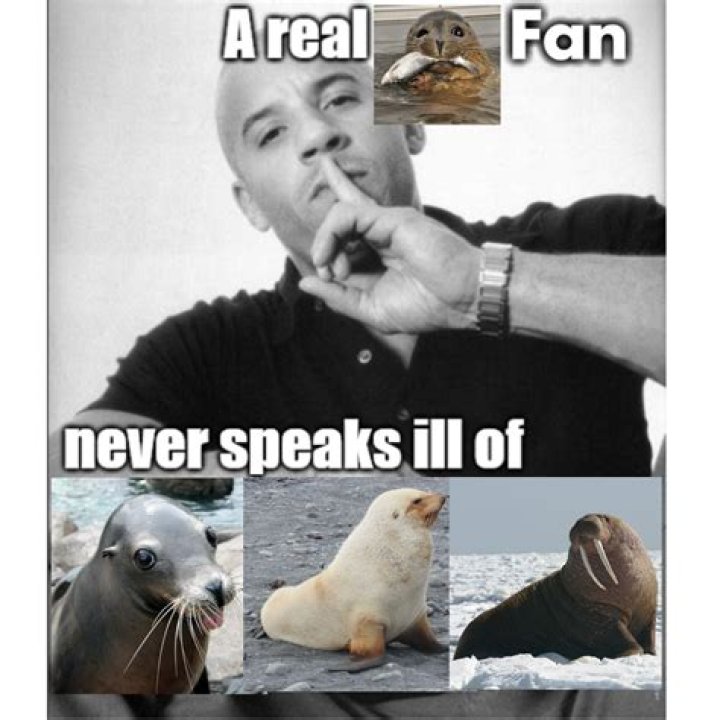 What makes a true fan?