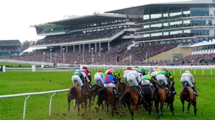 Which racecourses does Jockey Club own?