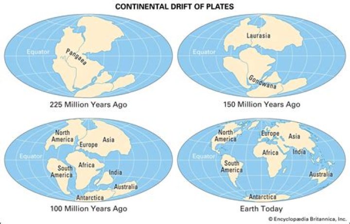 Who discovered continents?