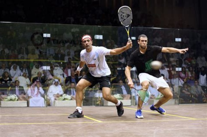 Who is the best squash player in India?