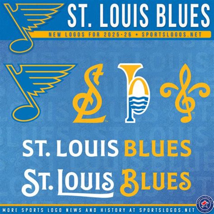 Who owns the St. Louis Blues?