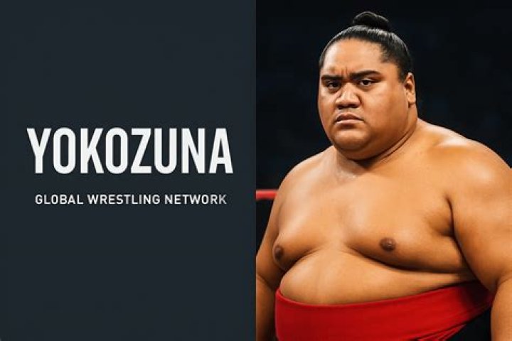 Who slammed Yokozuna?
