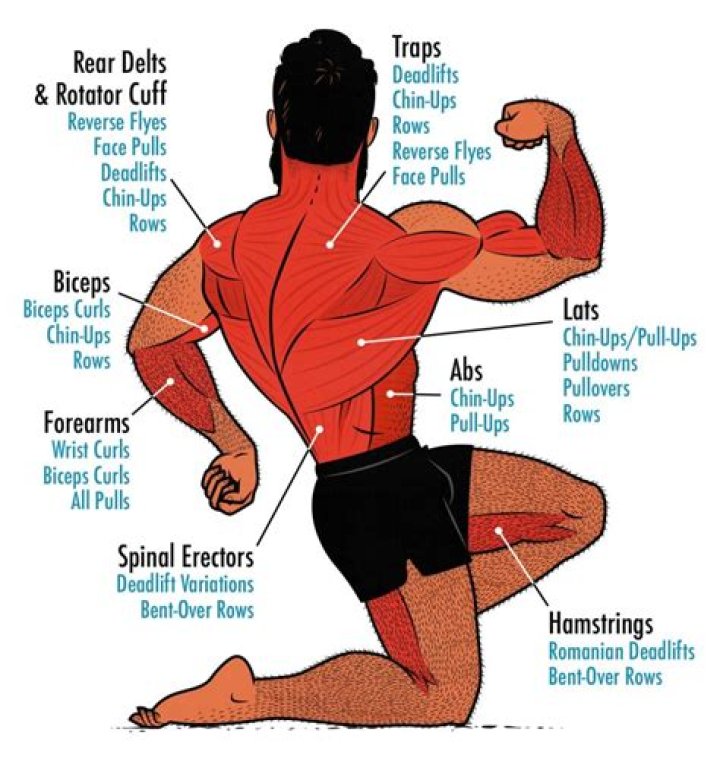 Why are calves the hardest muscle to build?