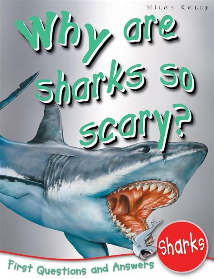 Why are sharks so scary?