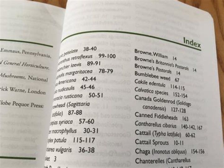 Why is index important in a book?
