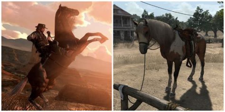 Why is my horse neighing at night?