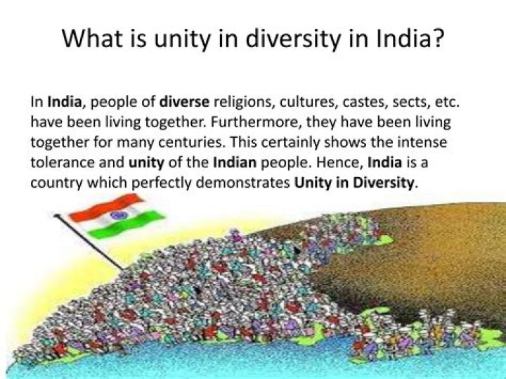 Why is unity in diversity important for a country?