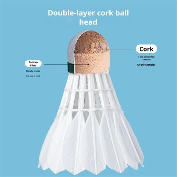 Why there are 16 feathers in a shuttlecock?