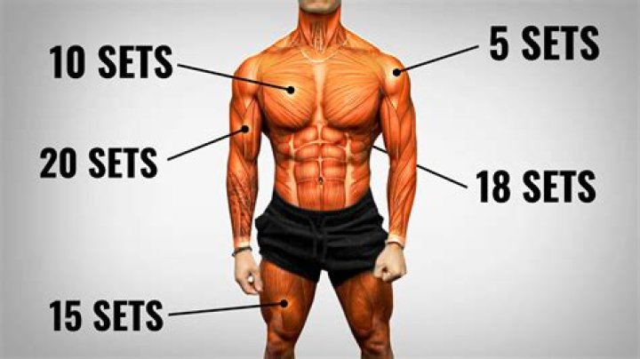 Will sets of 20 build muscle?